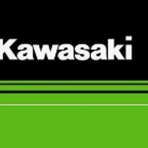 Титановый тормозной поршень, KX500, KX250